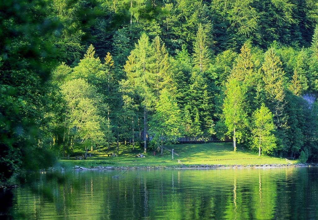 Park Am See Obertraun Exterior foto