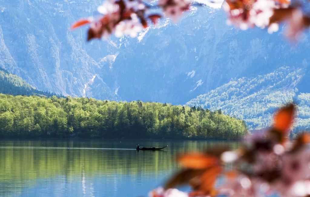 Park Am See Obertraun Exterior foto